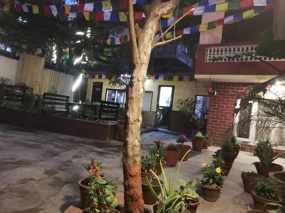 Nirvana Green Peace Home Kathmandu Exterior photo